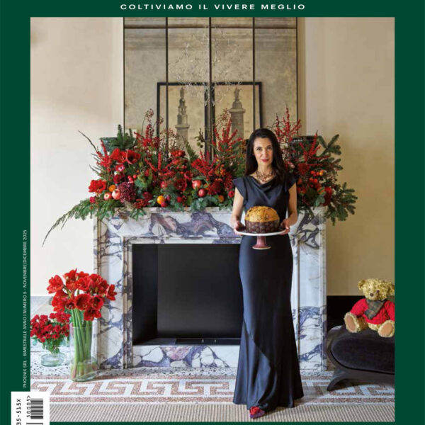 borgo-rivista-foster